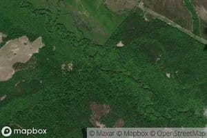 Beaverdam Creek