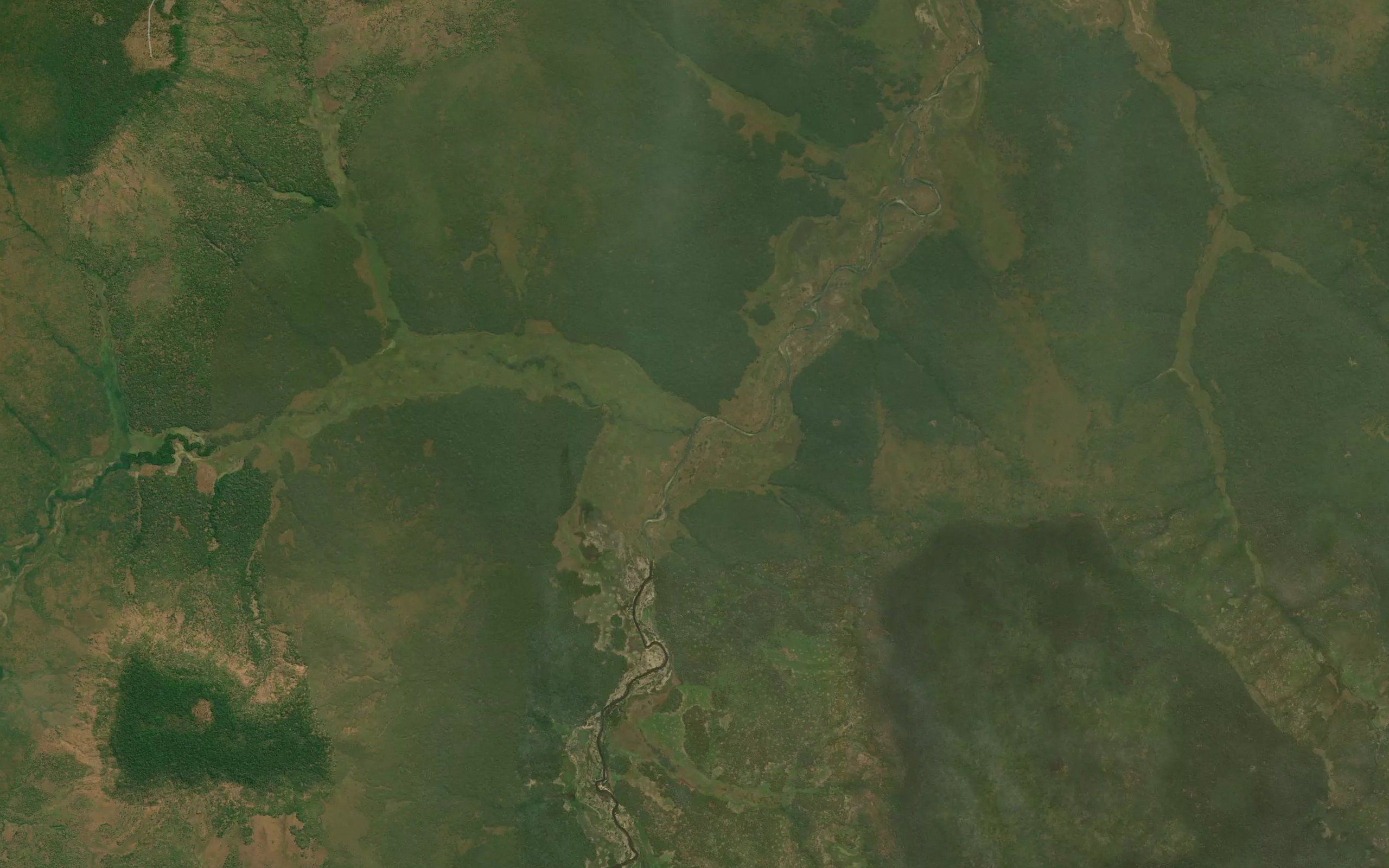 Tchamunua