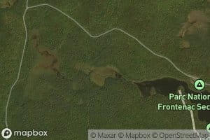Marais des Ours