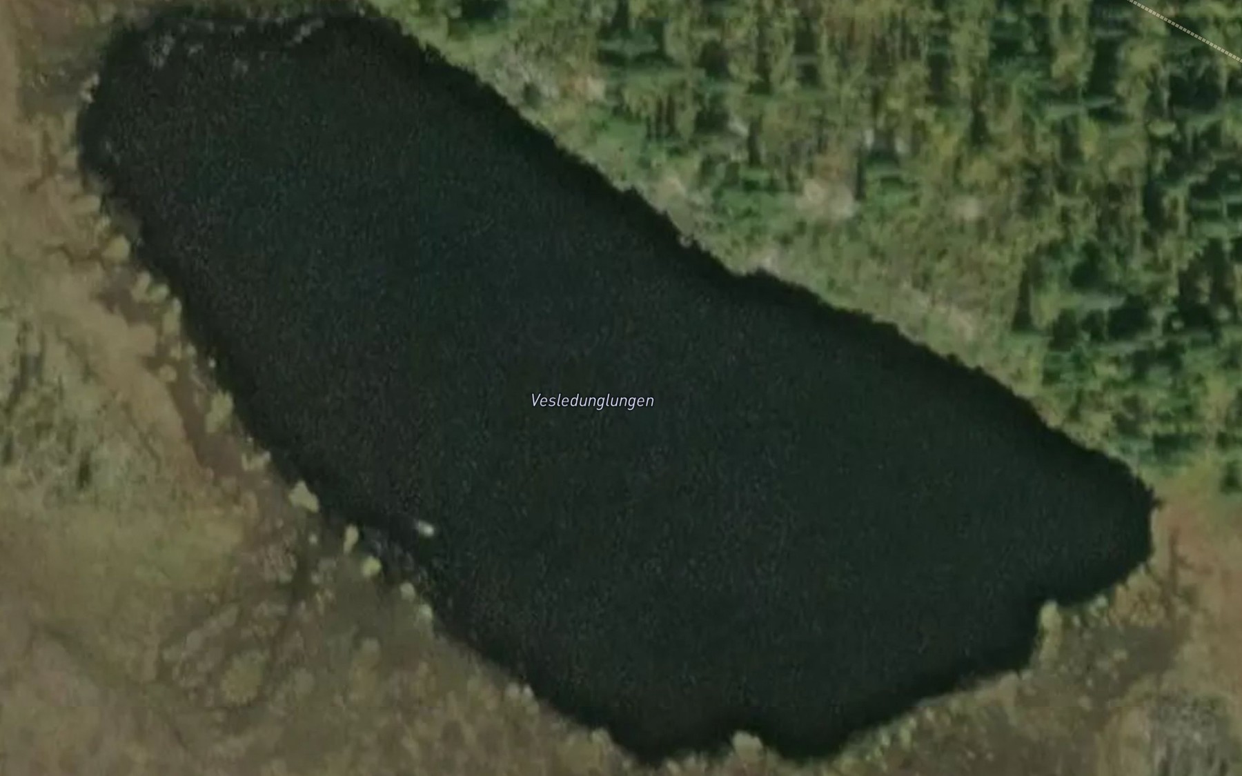 Satellite map of the Vesledunglungen