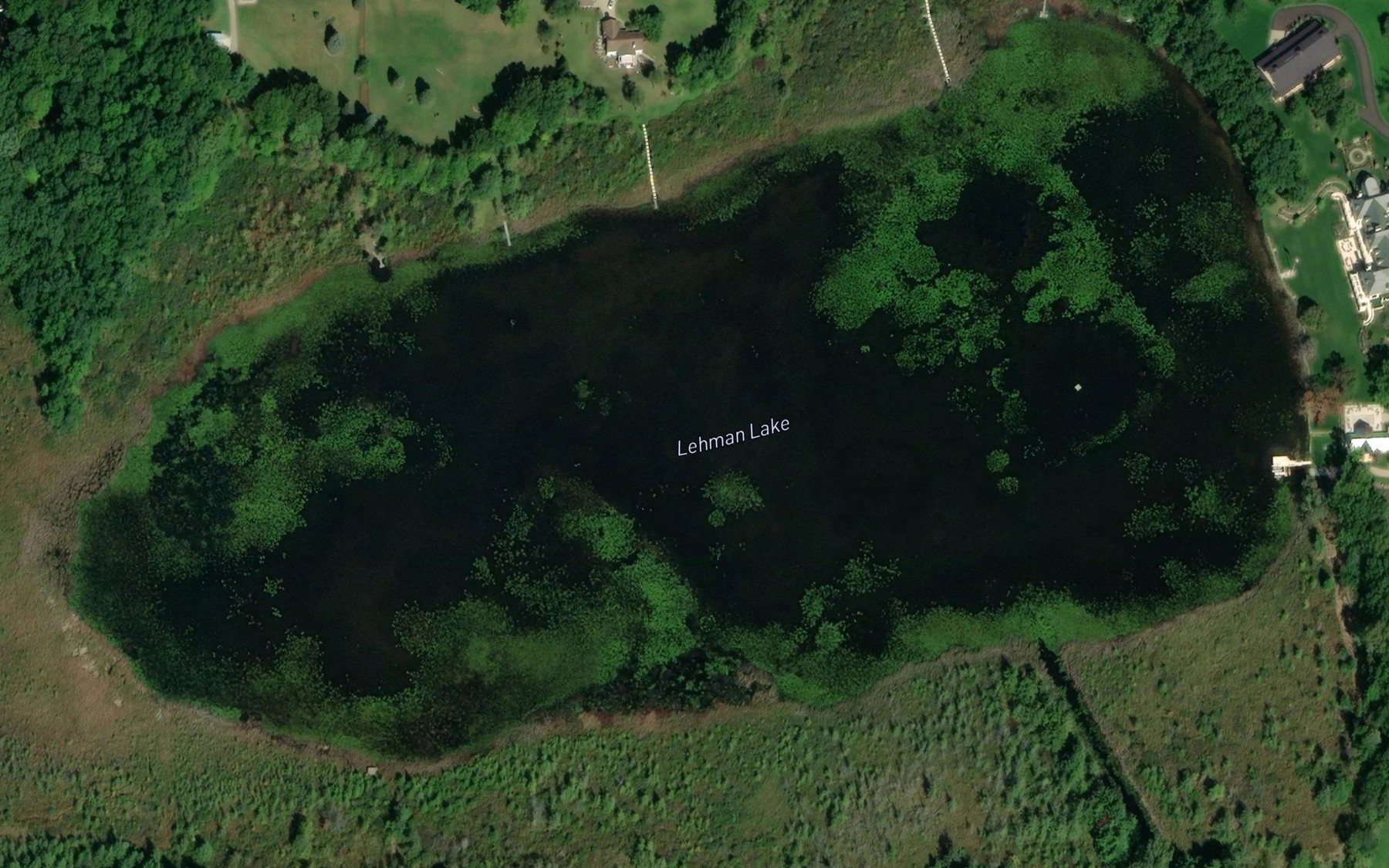 Satellite map of the Lehman Lake