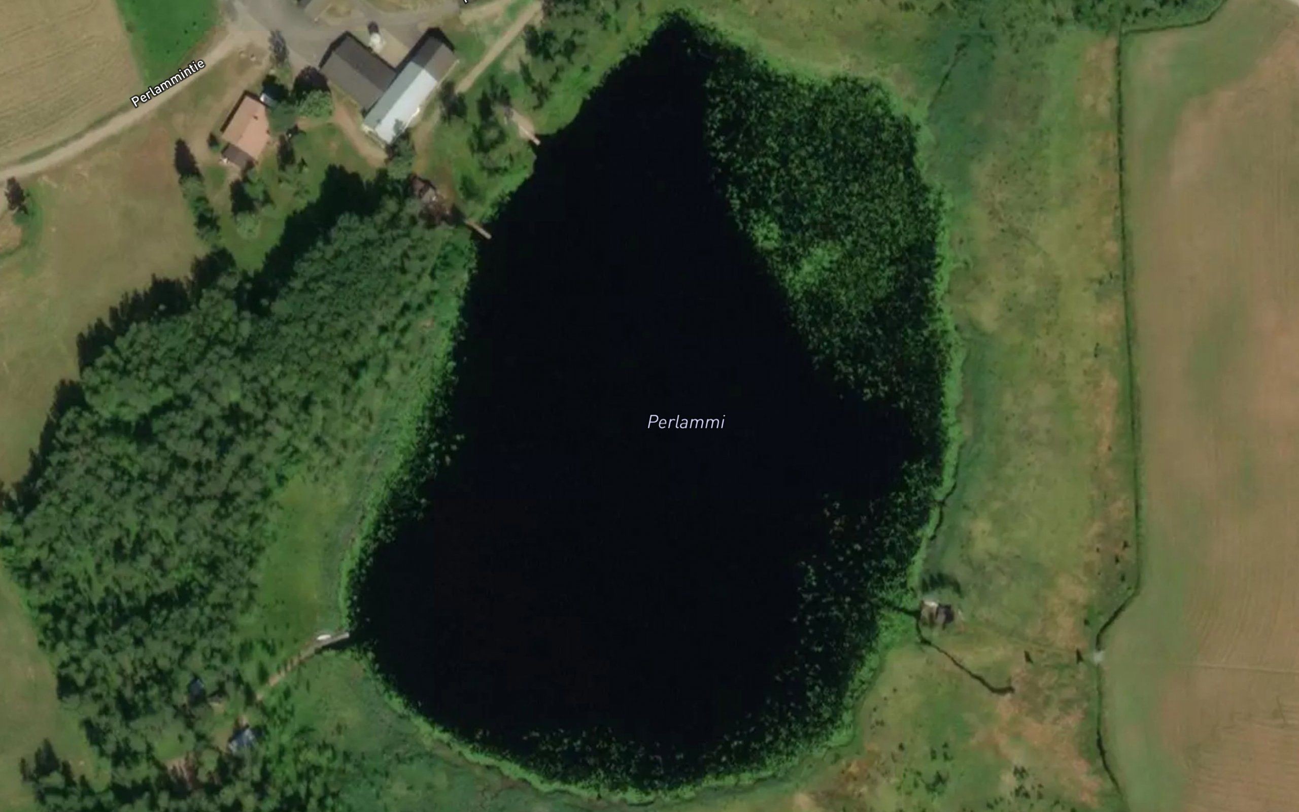 Perlammi