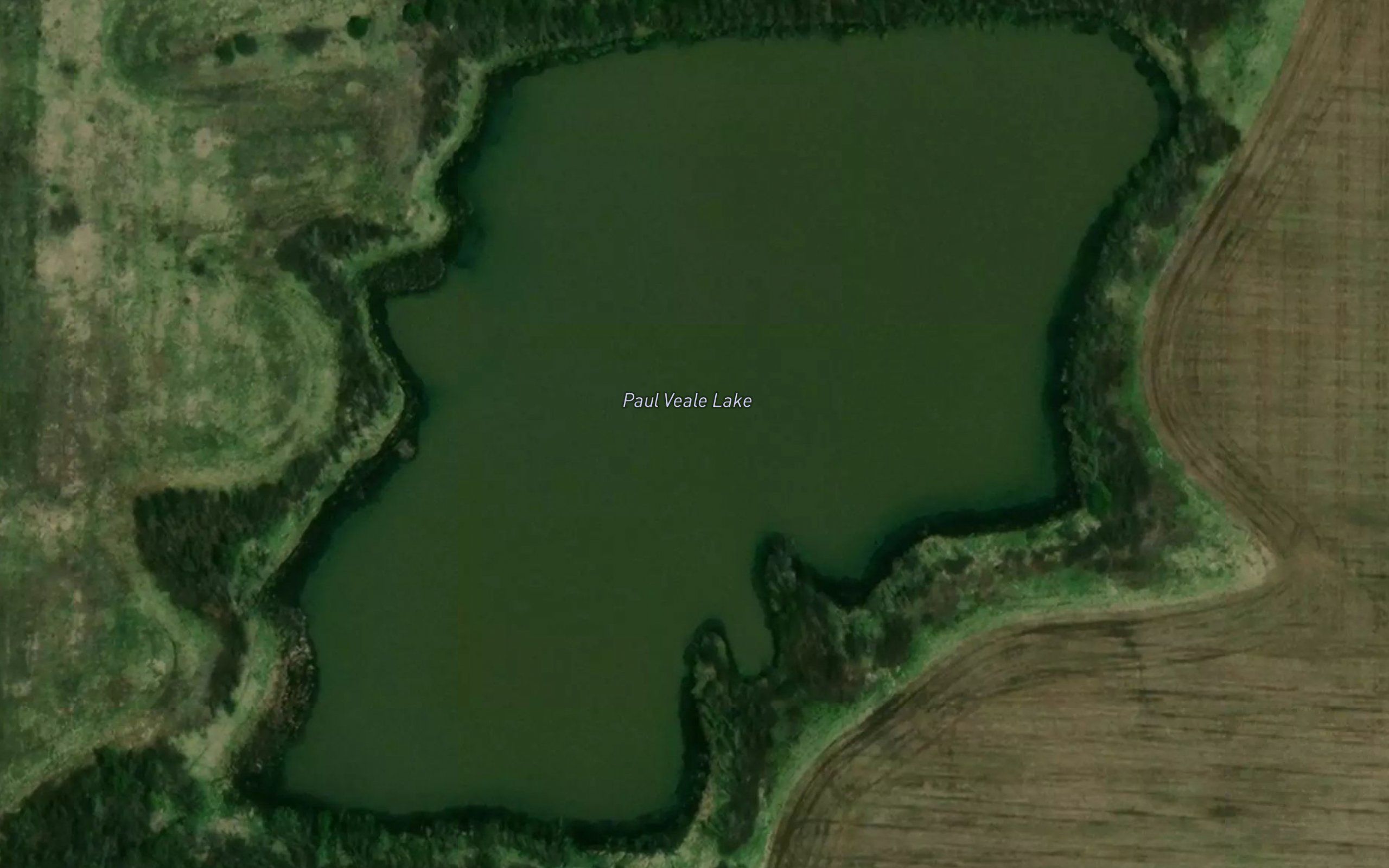 Paul Veale Lake