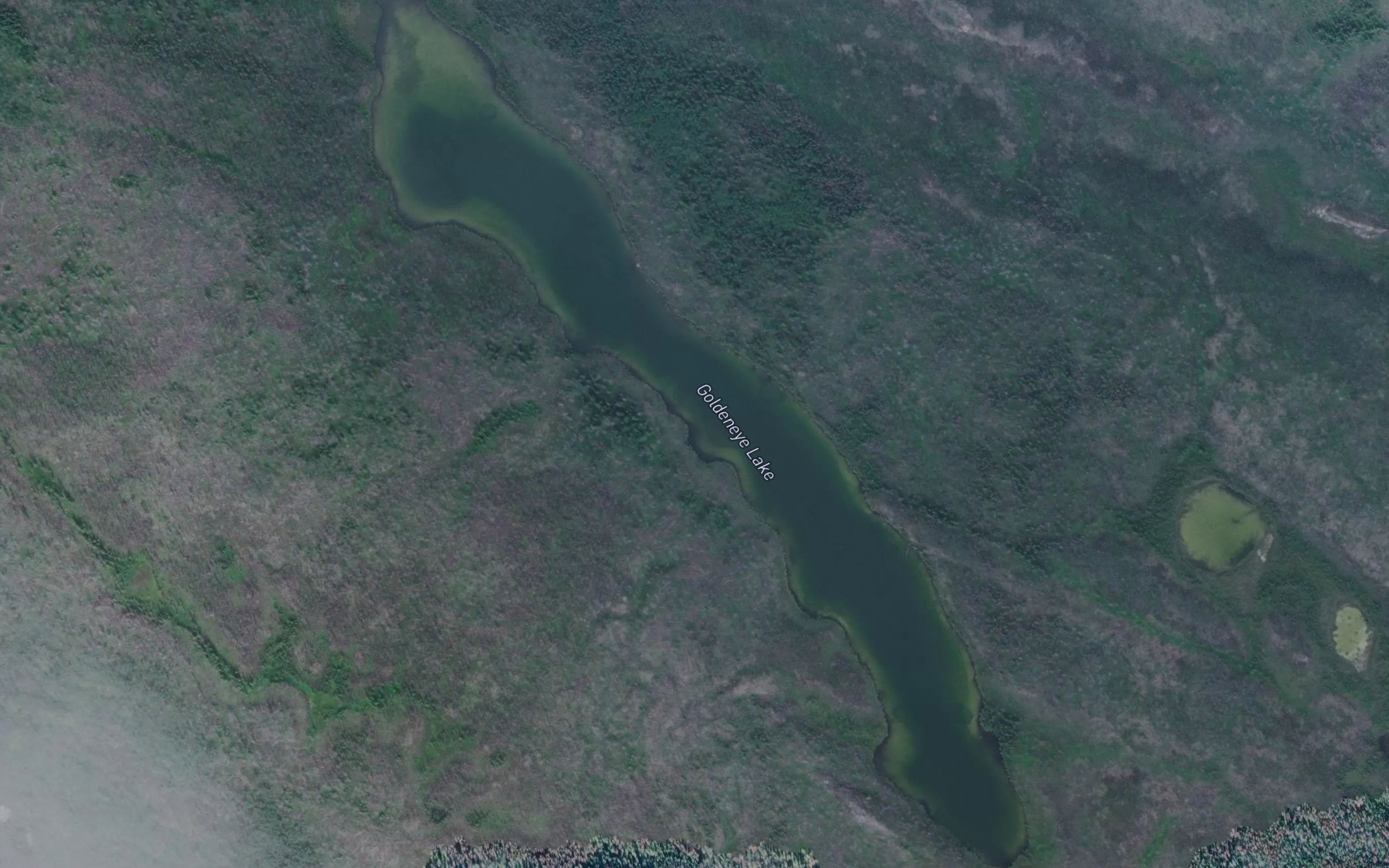Satellite map of the Goldeneye Lake