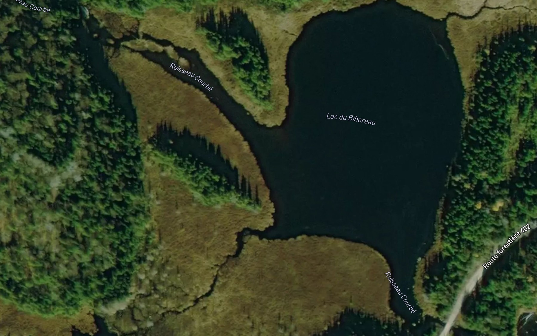 Satellite map of the Lac du Bihoreau