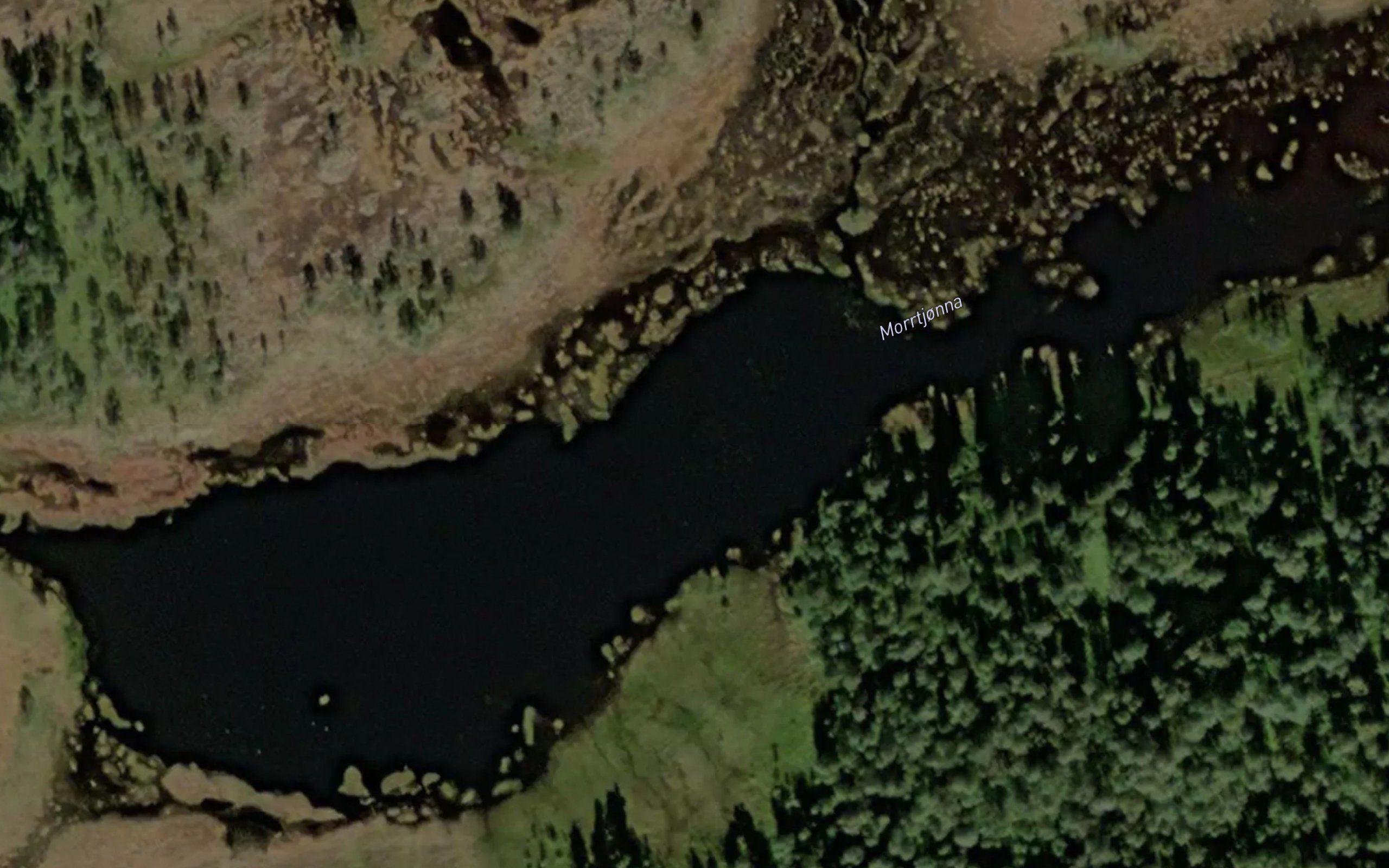 Morrtjorna