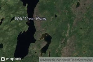 Wild Cove Pond