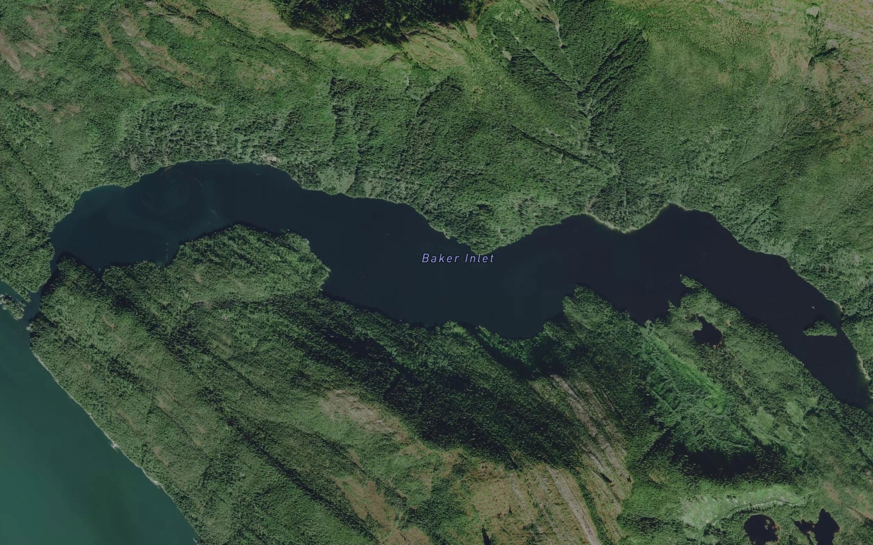 Satellite map of the Baker Inlet