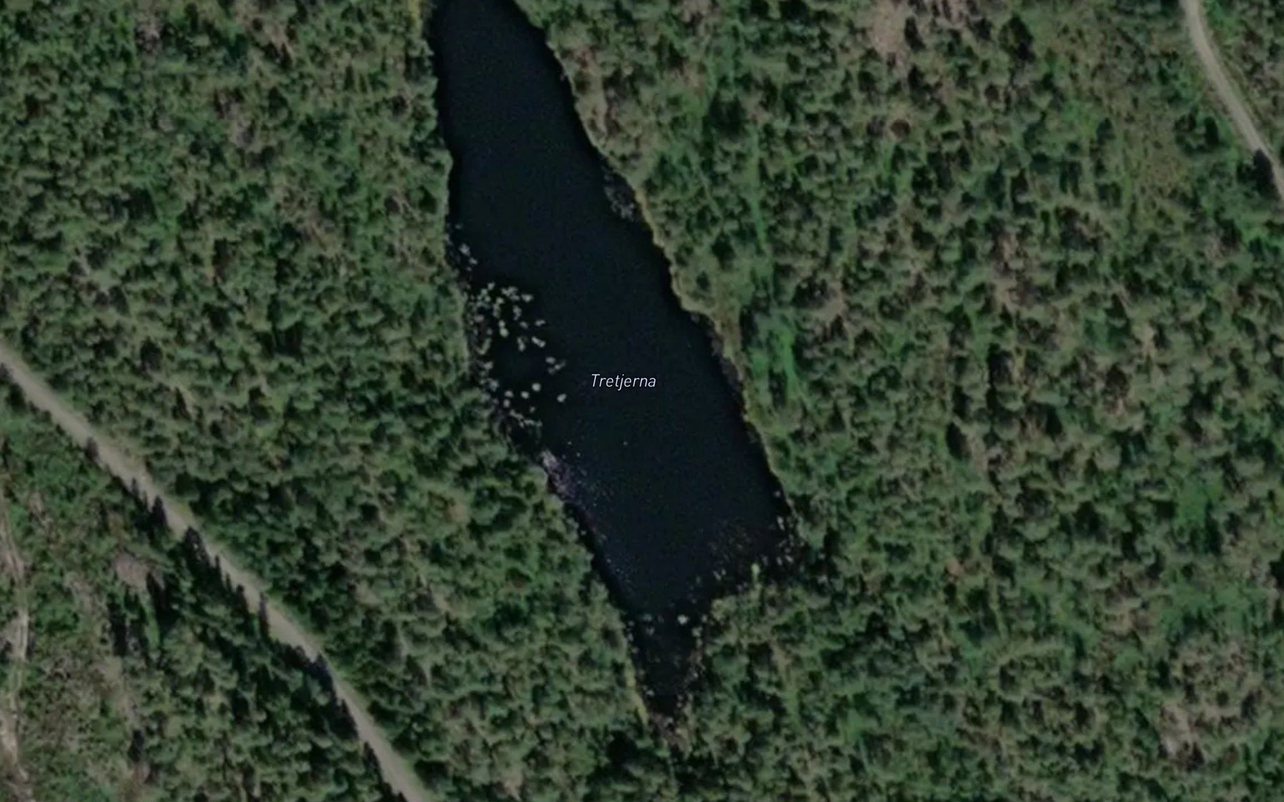 Trytjernene