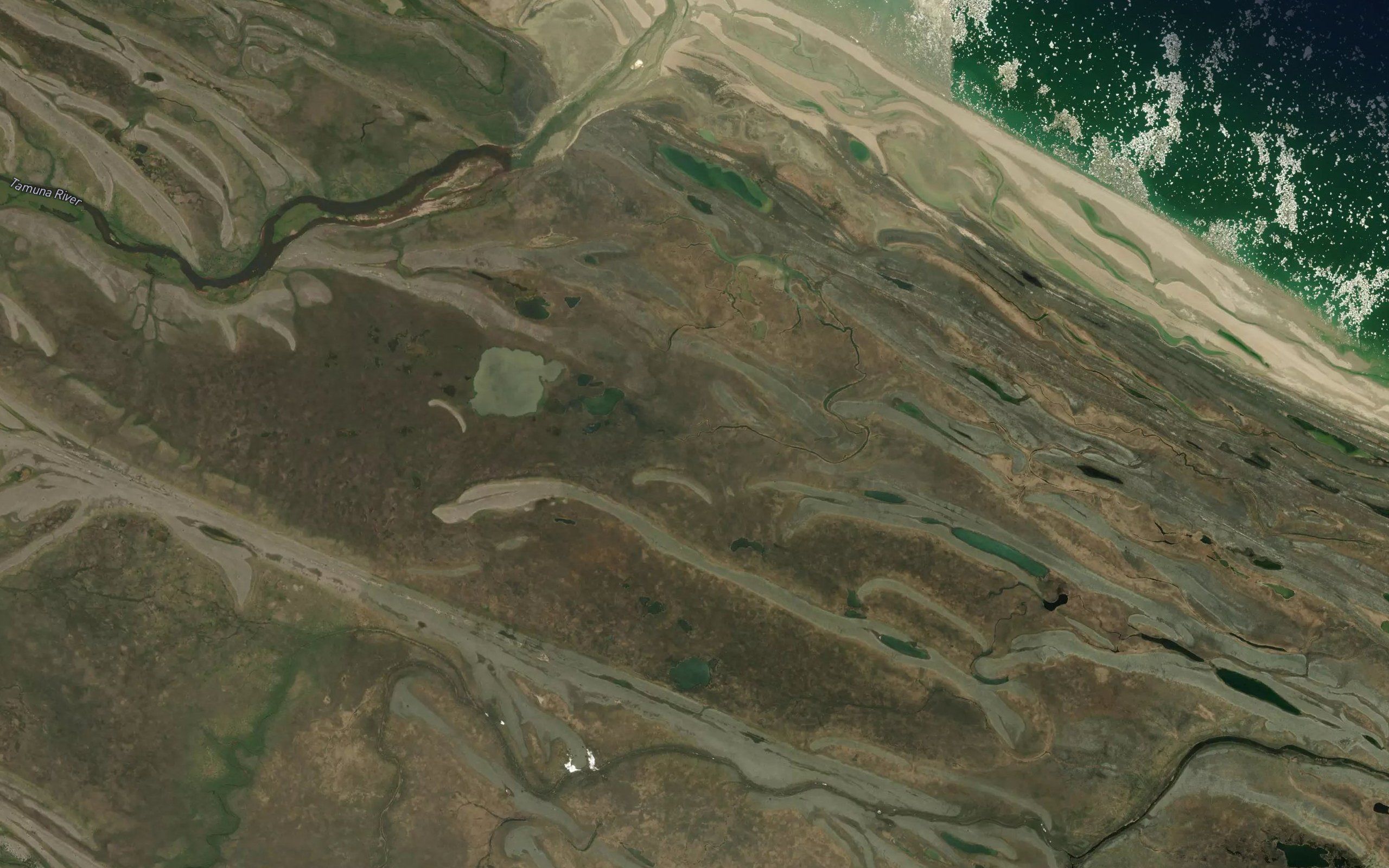 Tamuna River