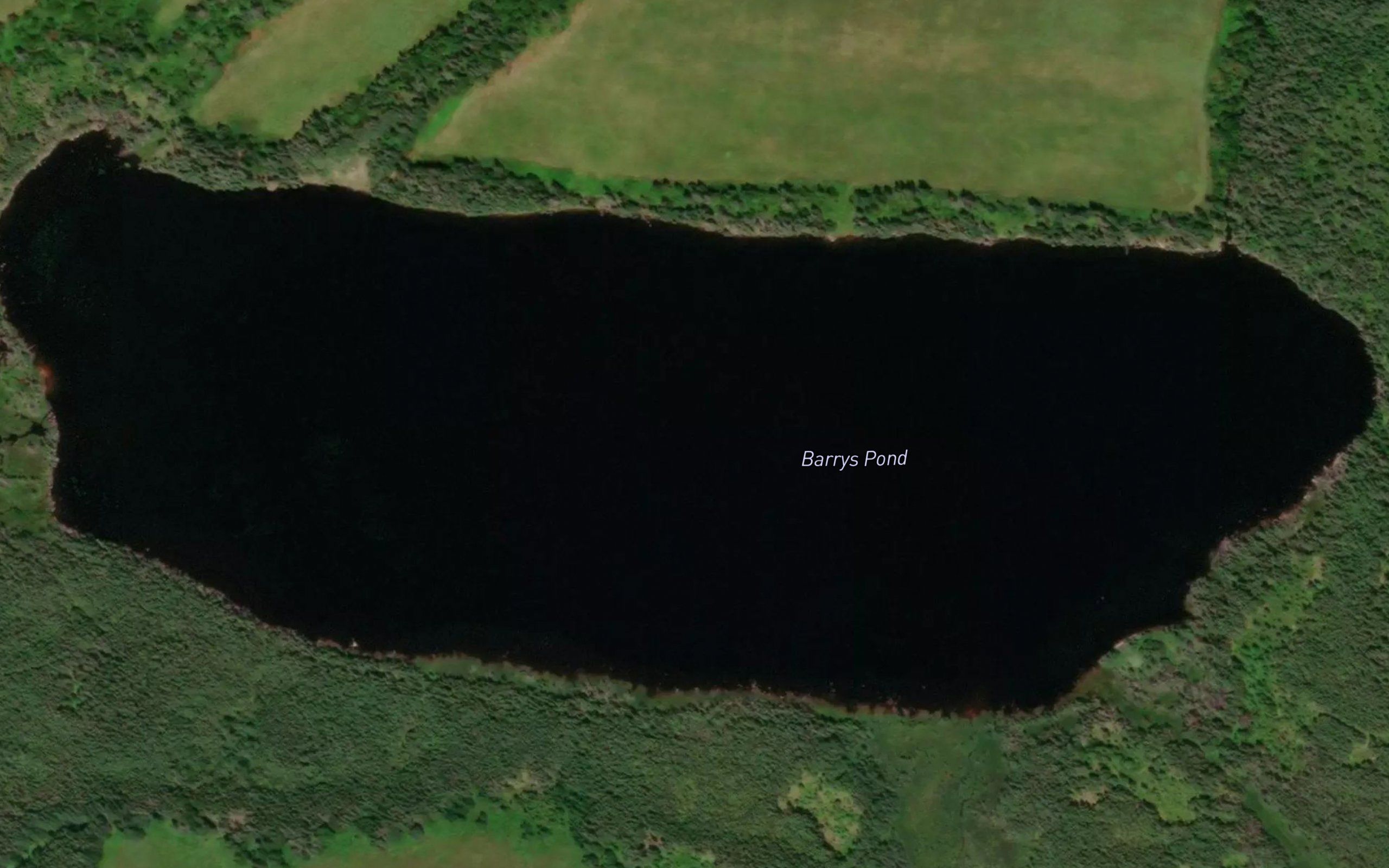 Barrys Pond
