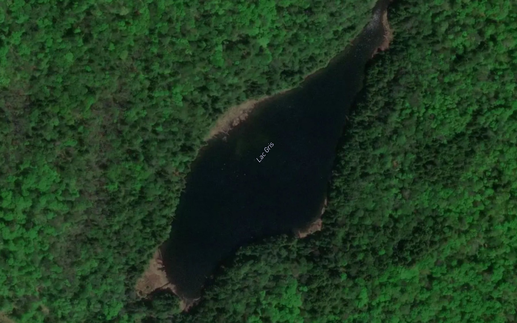 Satellite map of the Lac Gris