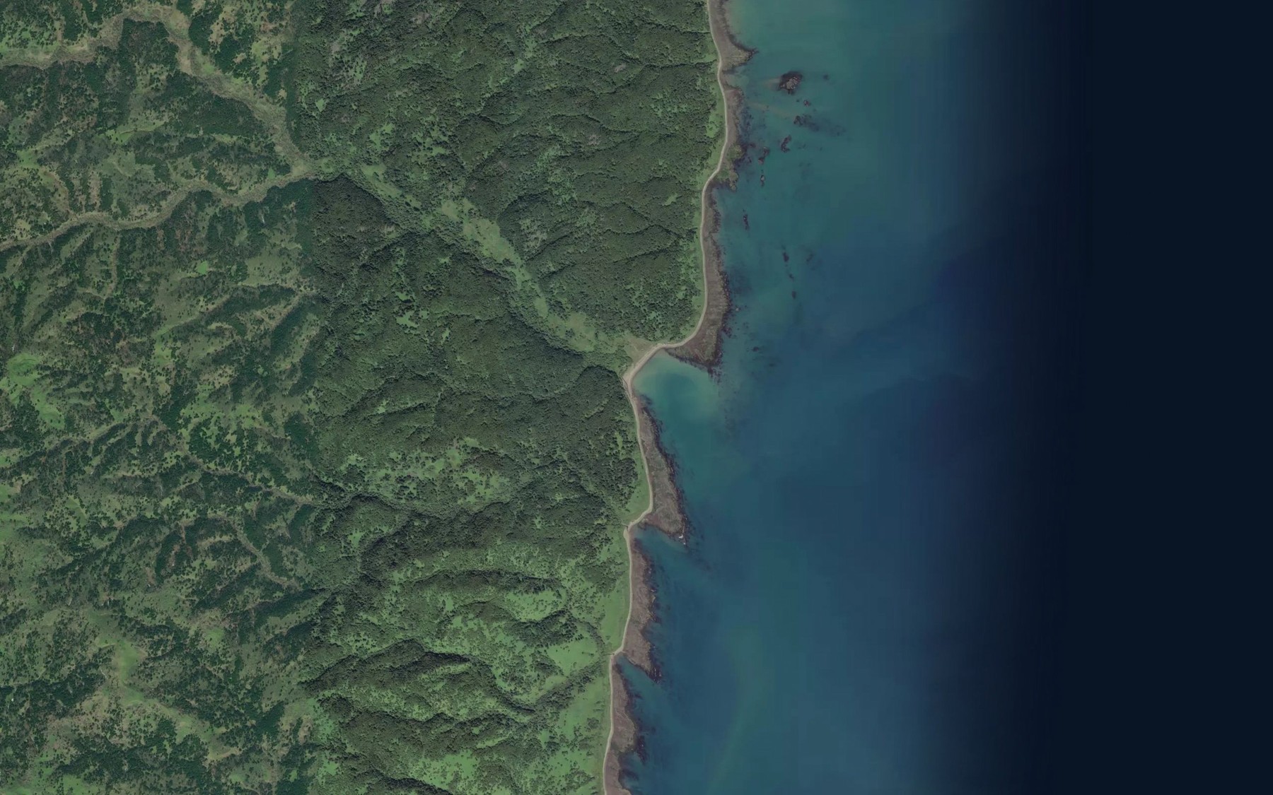 Satellite map of the Medvedevka