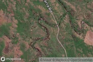 Reedy Creek