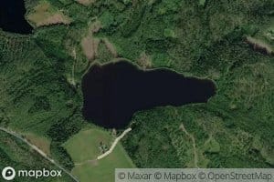Kollinlampi