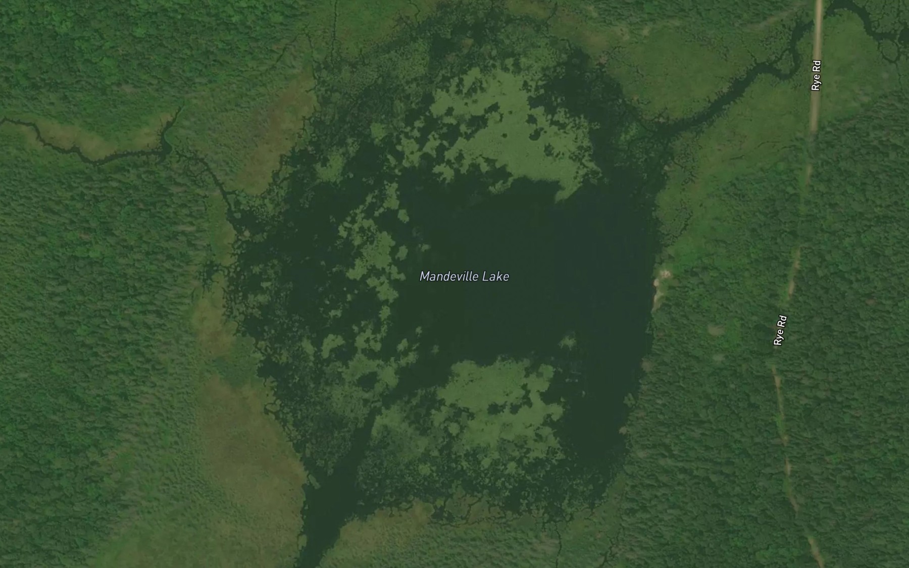 Satellite map of the Mandeville Lake