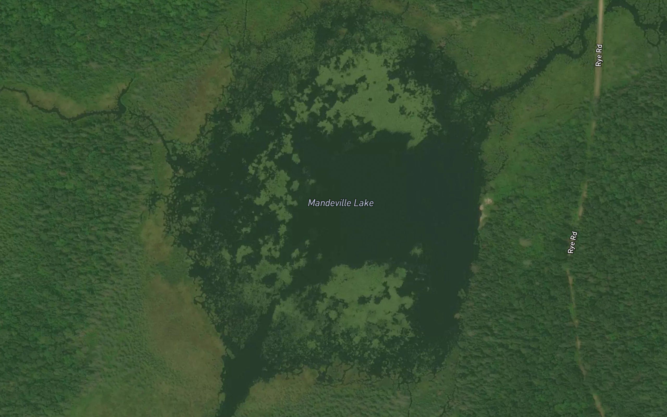 Mandeville Lake