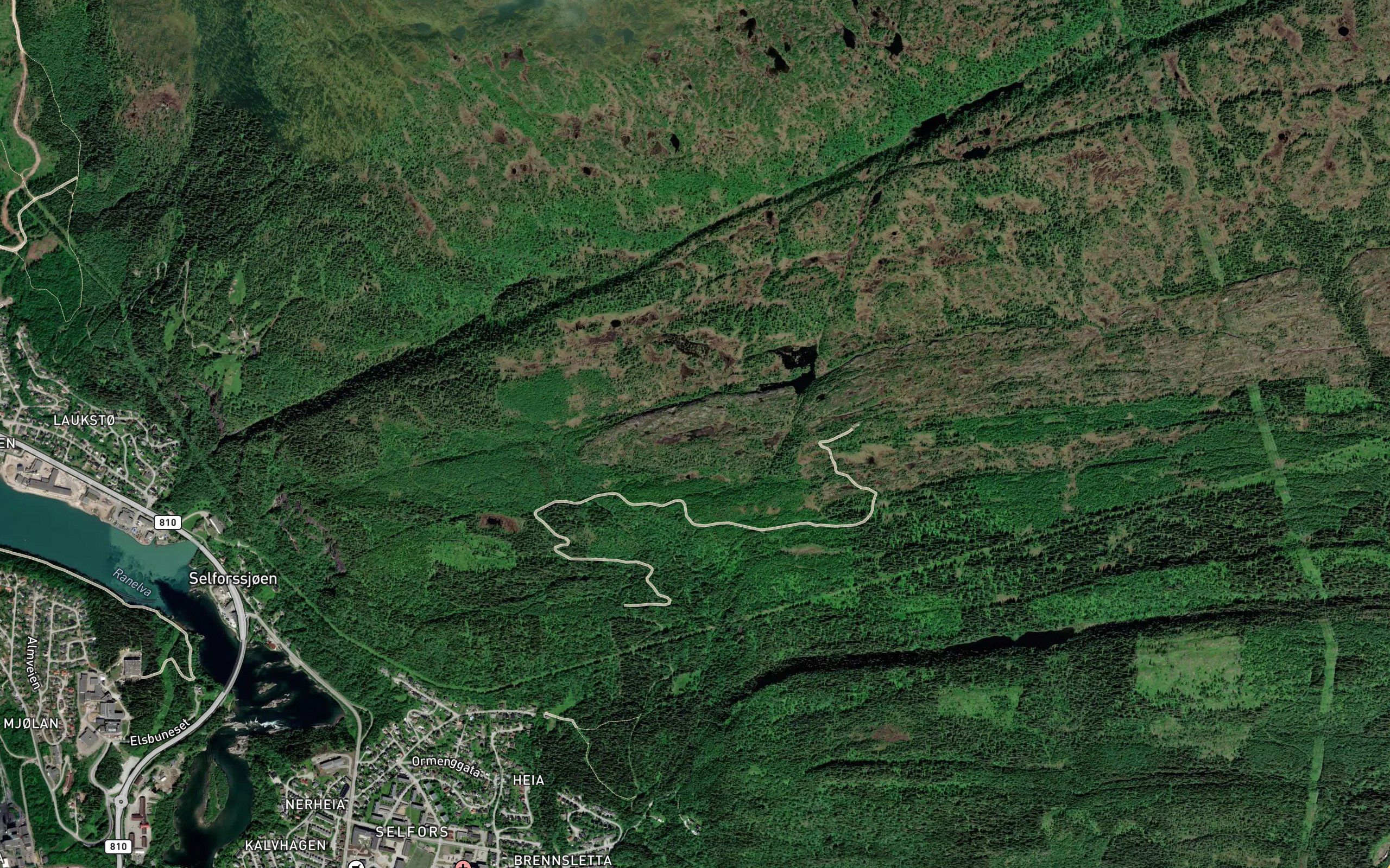 Kvitbergtjonna