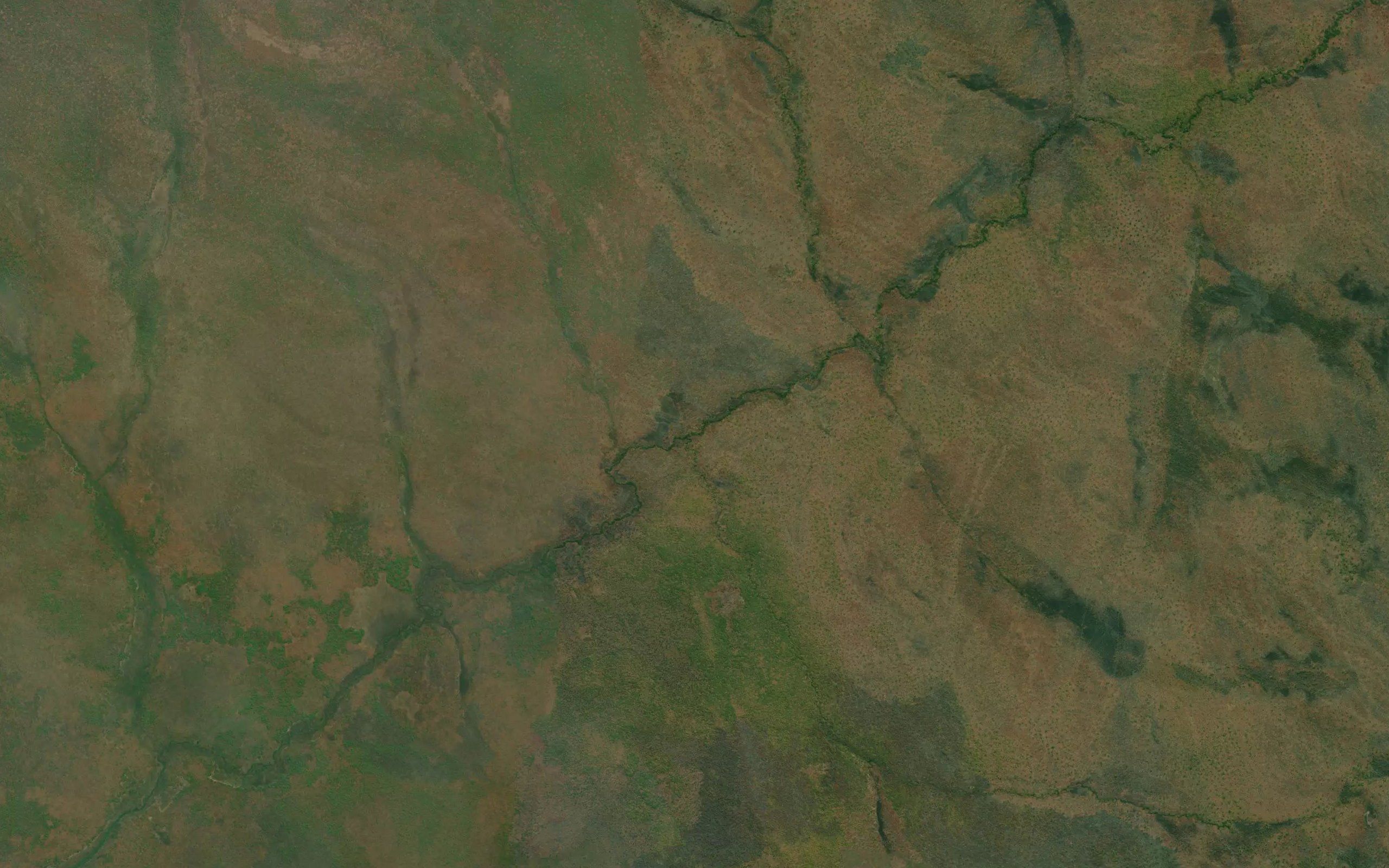 Bicanga