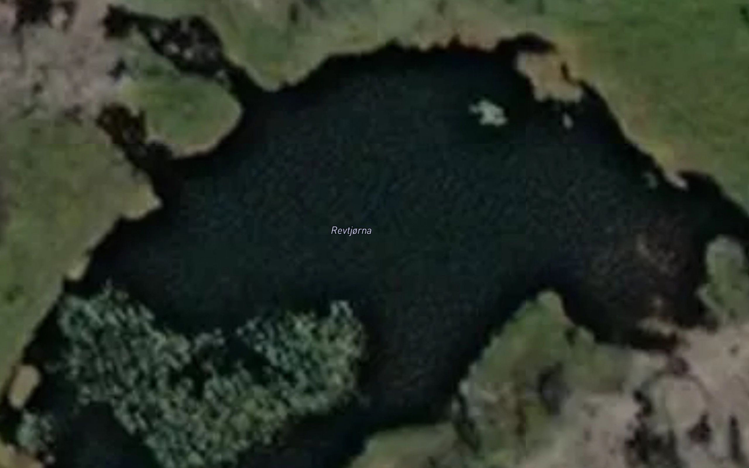 Revtjorna