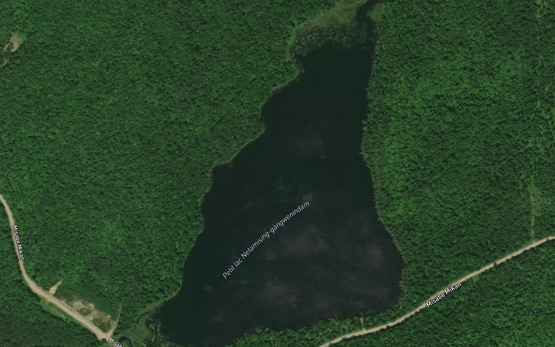 Satellite map of the Petit lac Netamising-gangwenindam