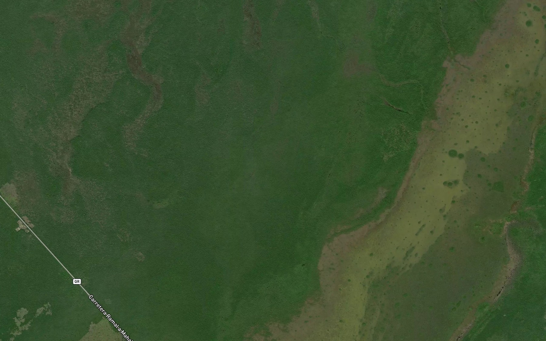 Satellite map of the Laguna San Antonio