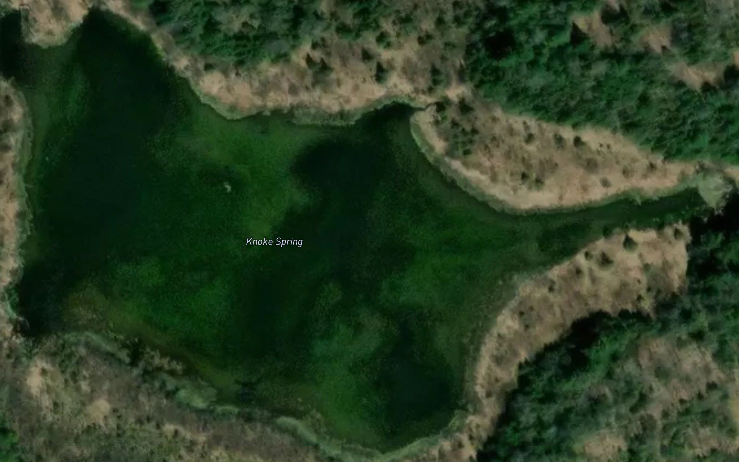 Knoke Spring