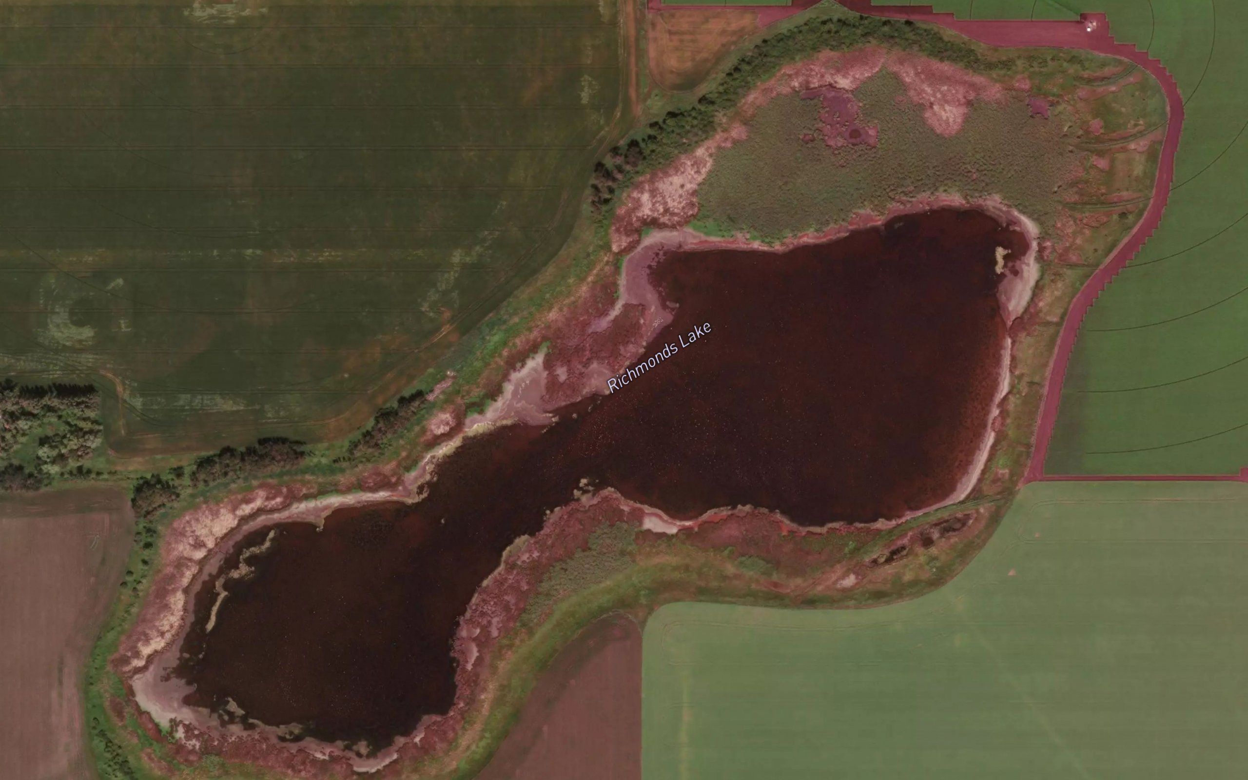 Richmonds Lake