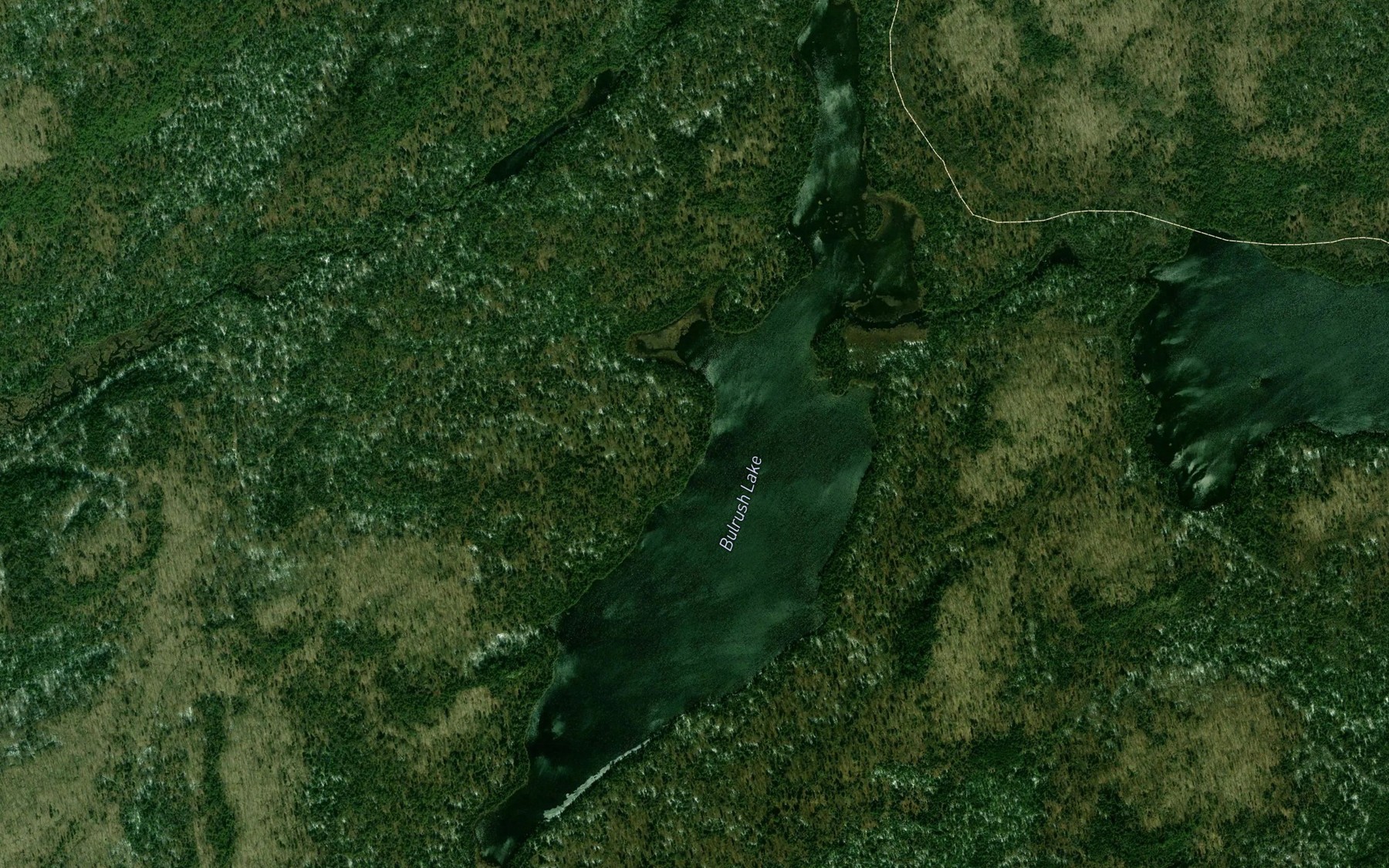 Satellite map of the Bulrush Lake
