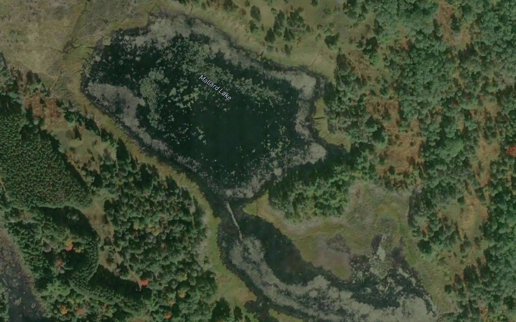 Satellite map of the Mallard Lake
