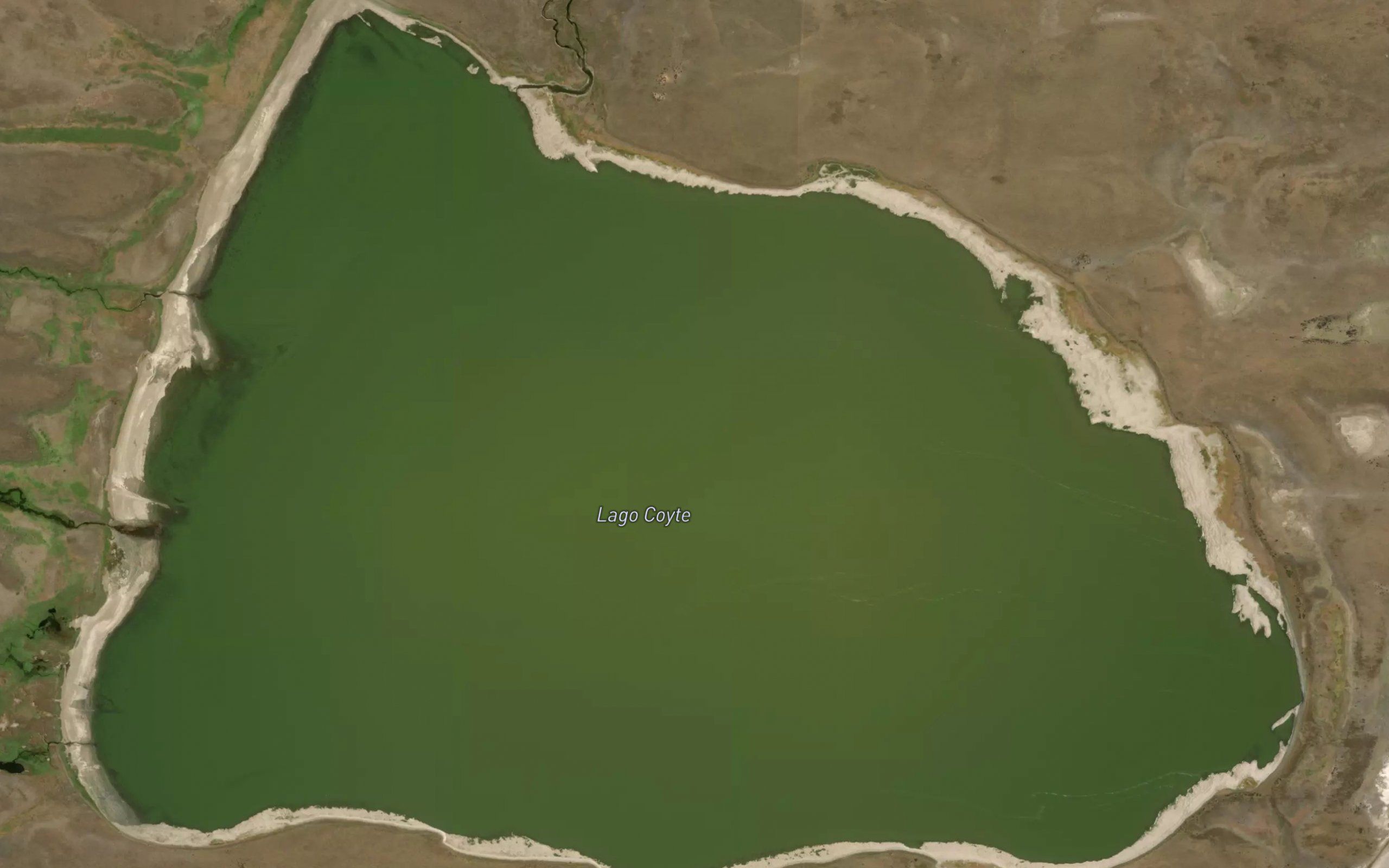 Lago Coyte