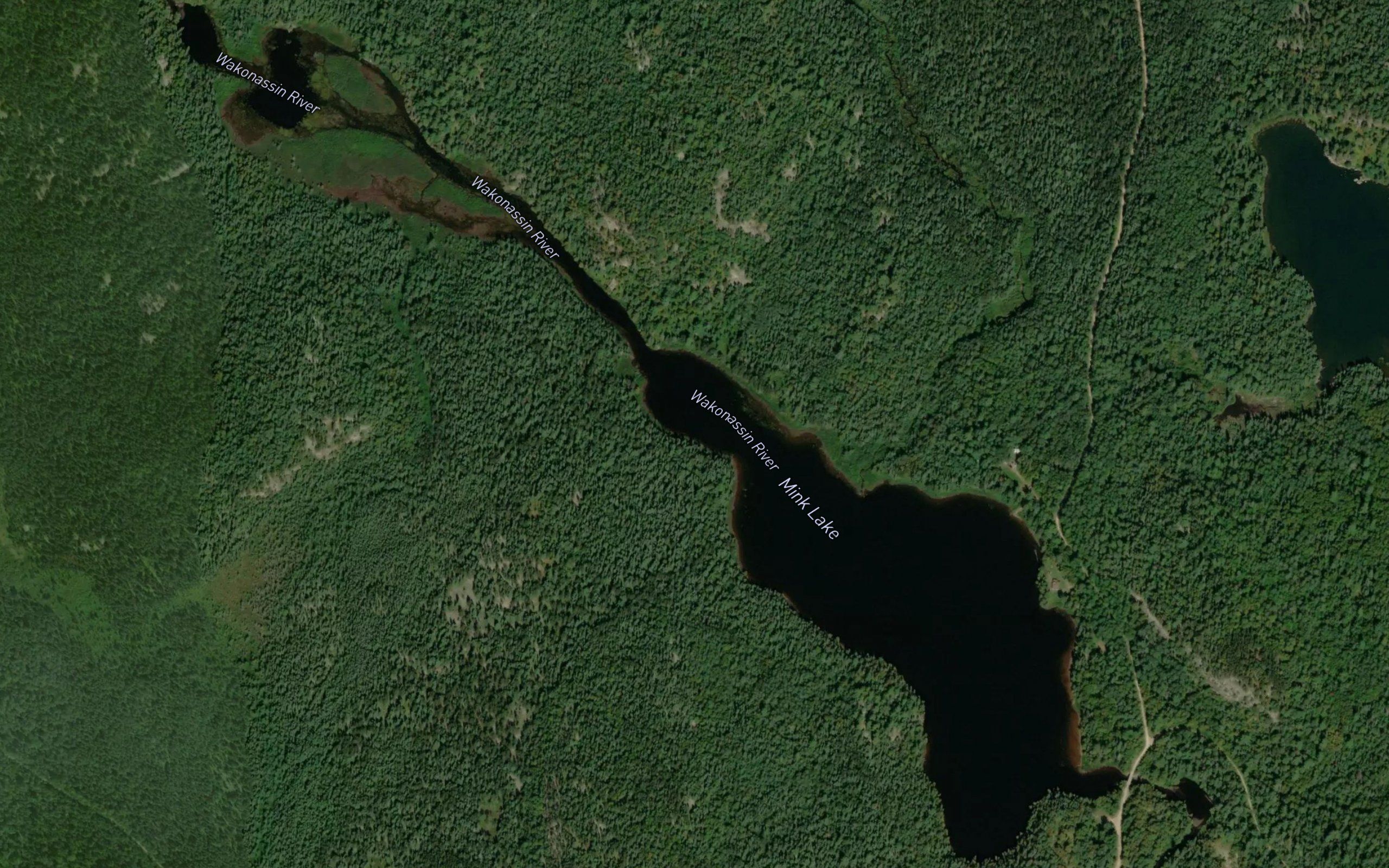 Mink Lake