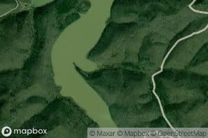 Murder Branch