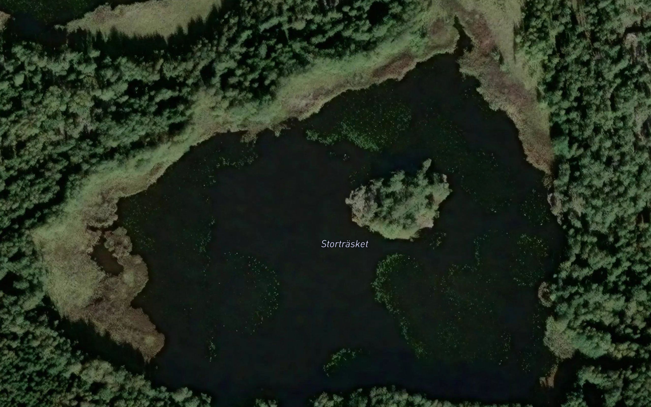 Stortraesket