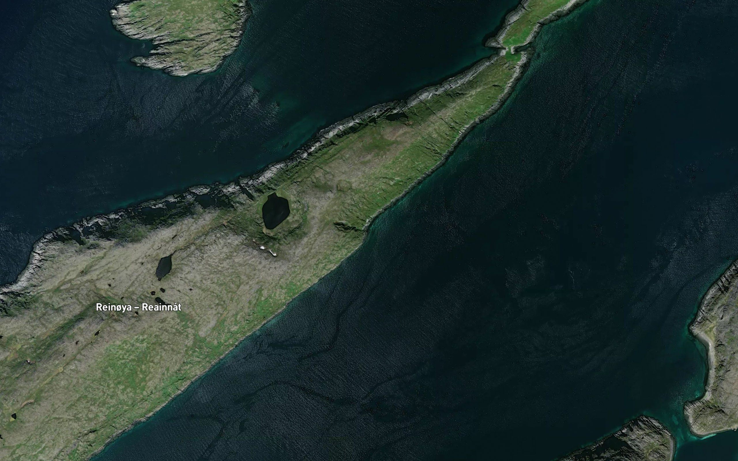 Purkevika