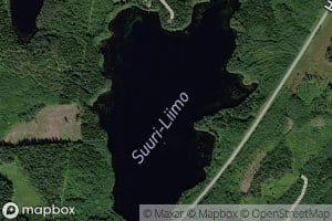 Suuri-Liimo