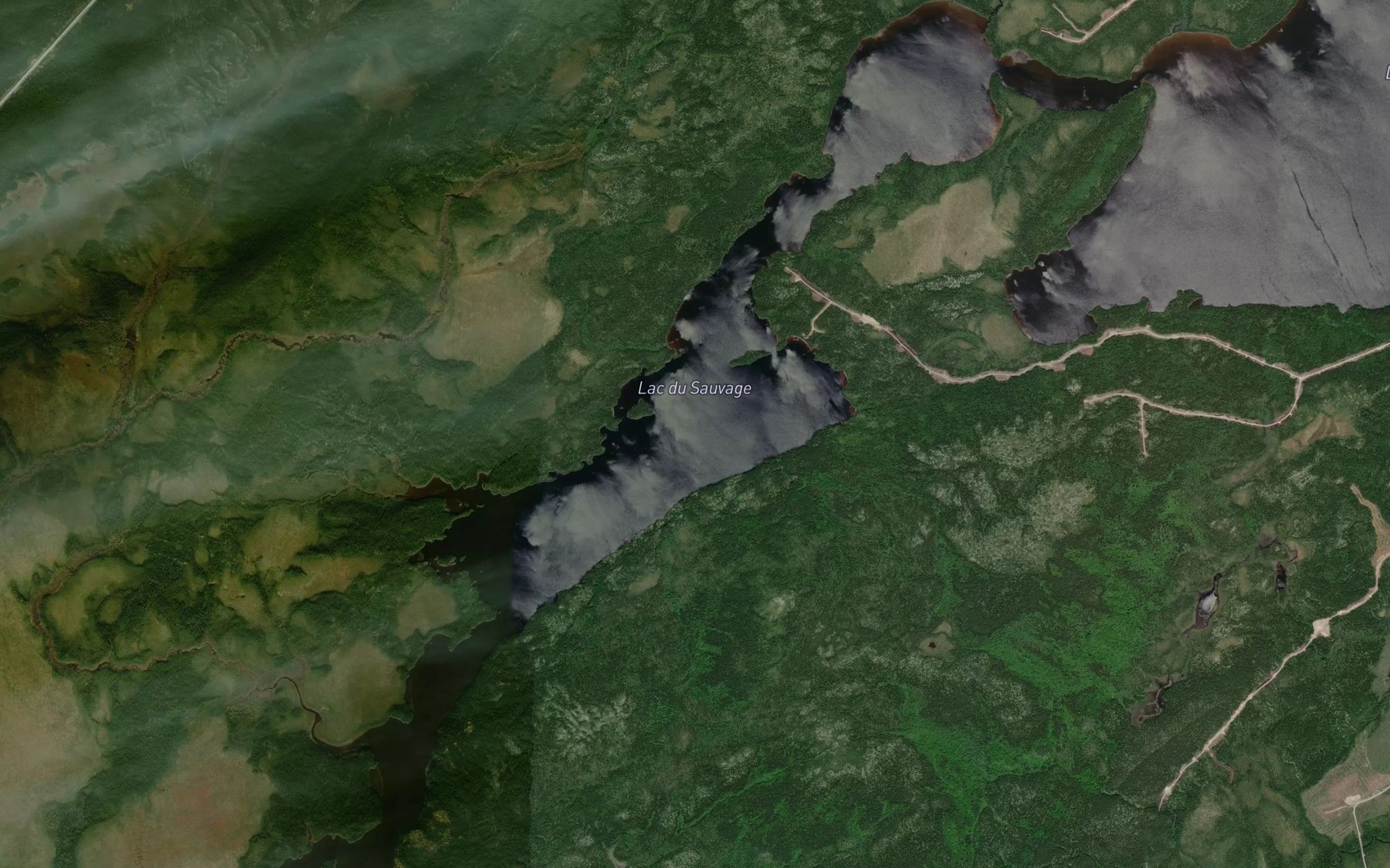 Satellite map of the Lac du Sauvage