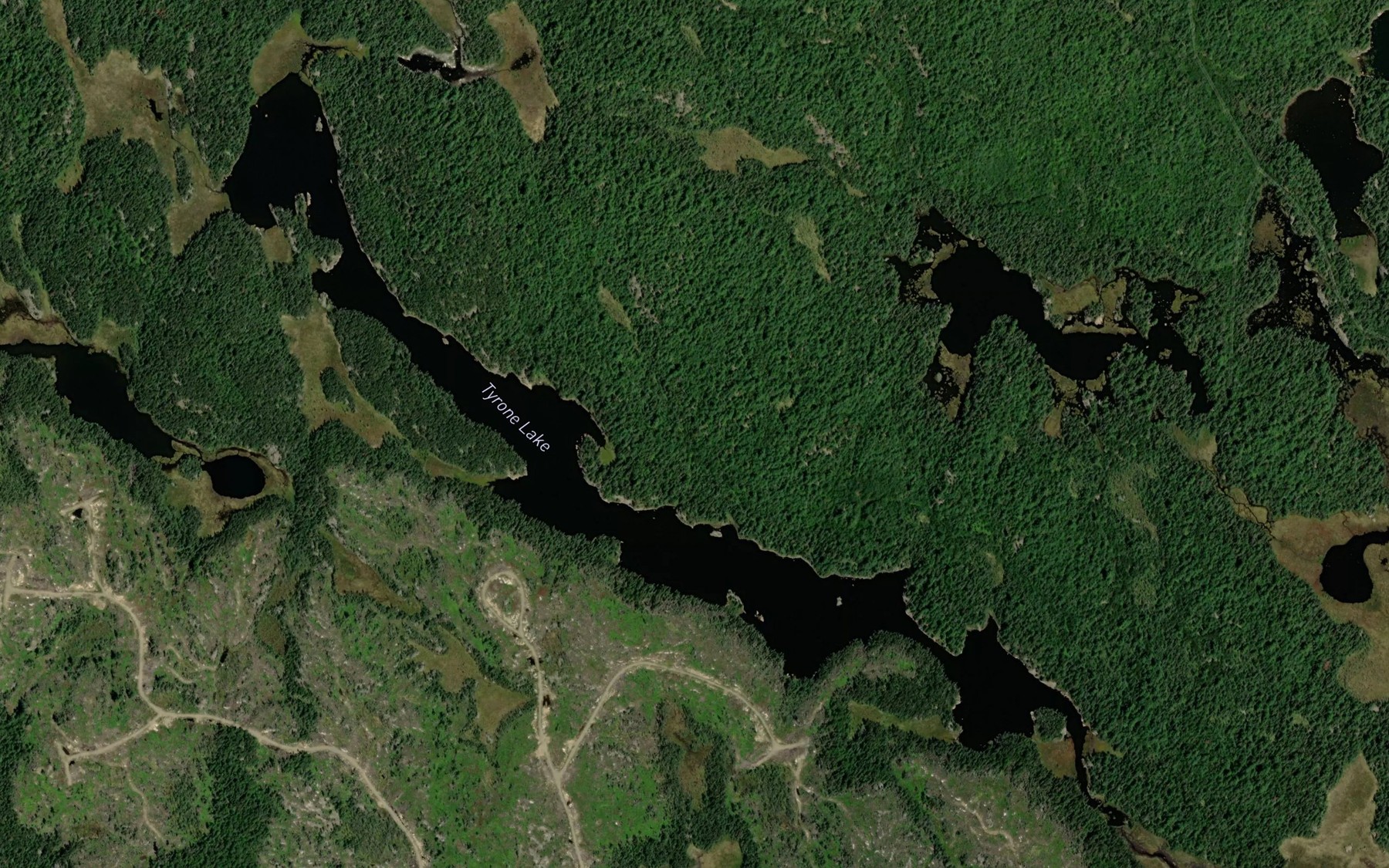 Satellite map of the Tyrone Lake
