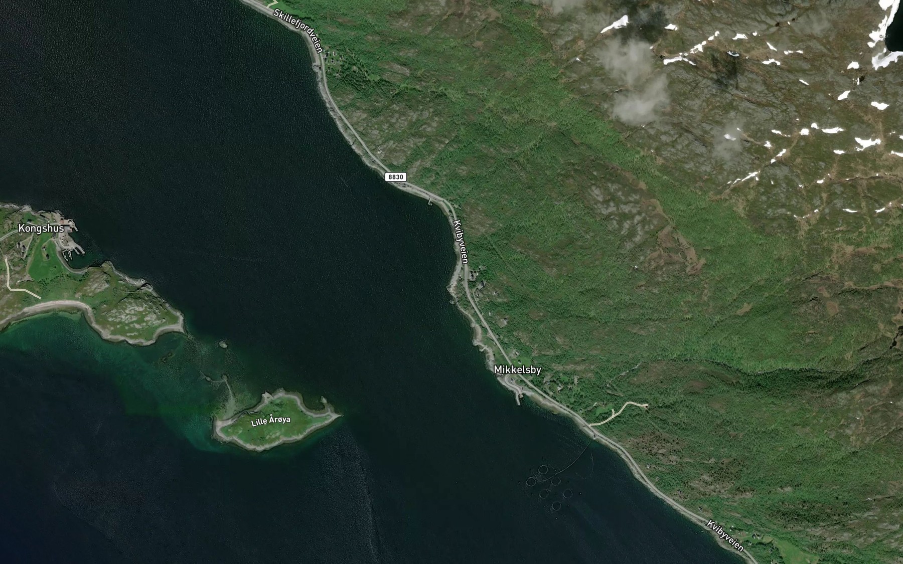 Satellite map of the Innervika