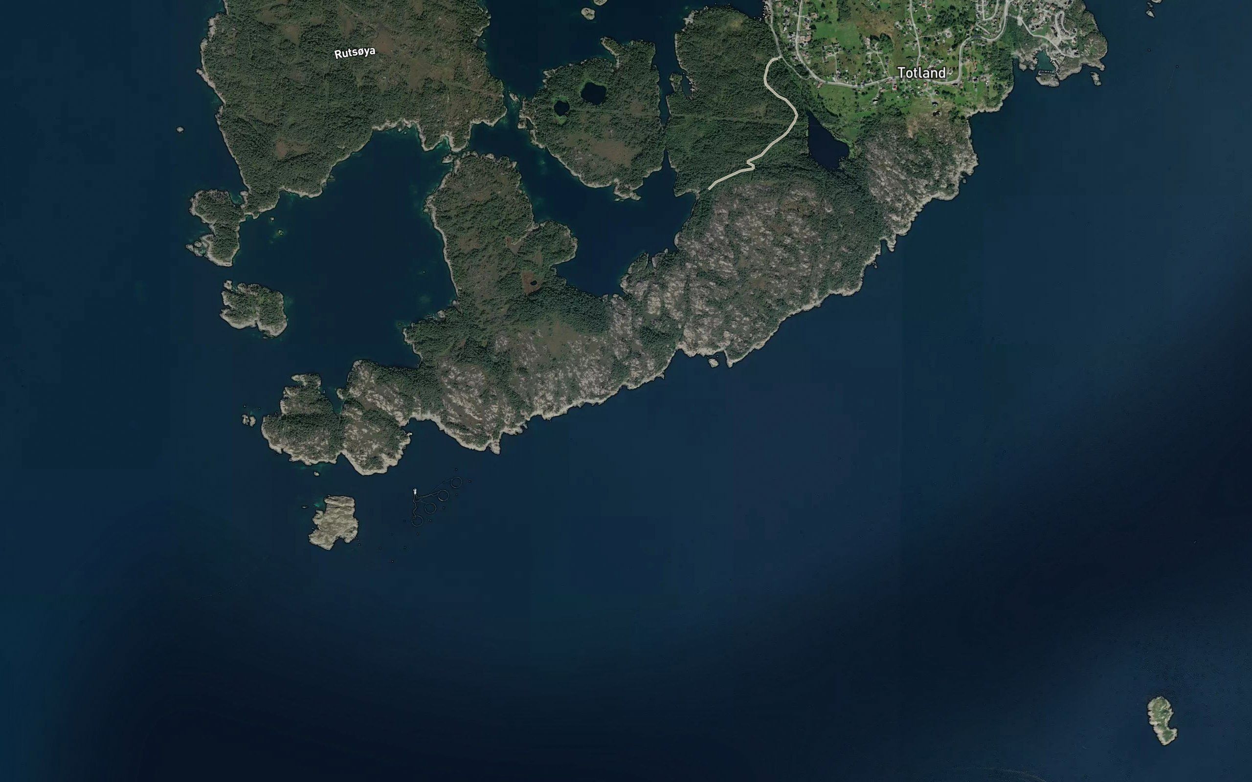 Ospevika