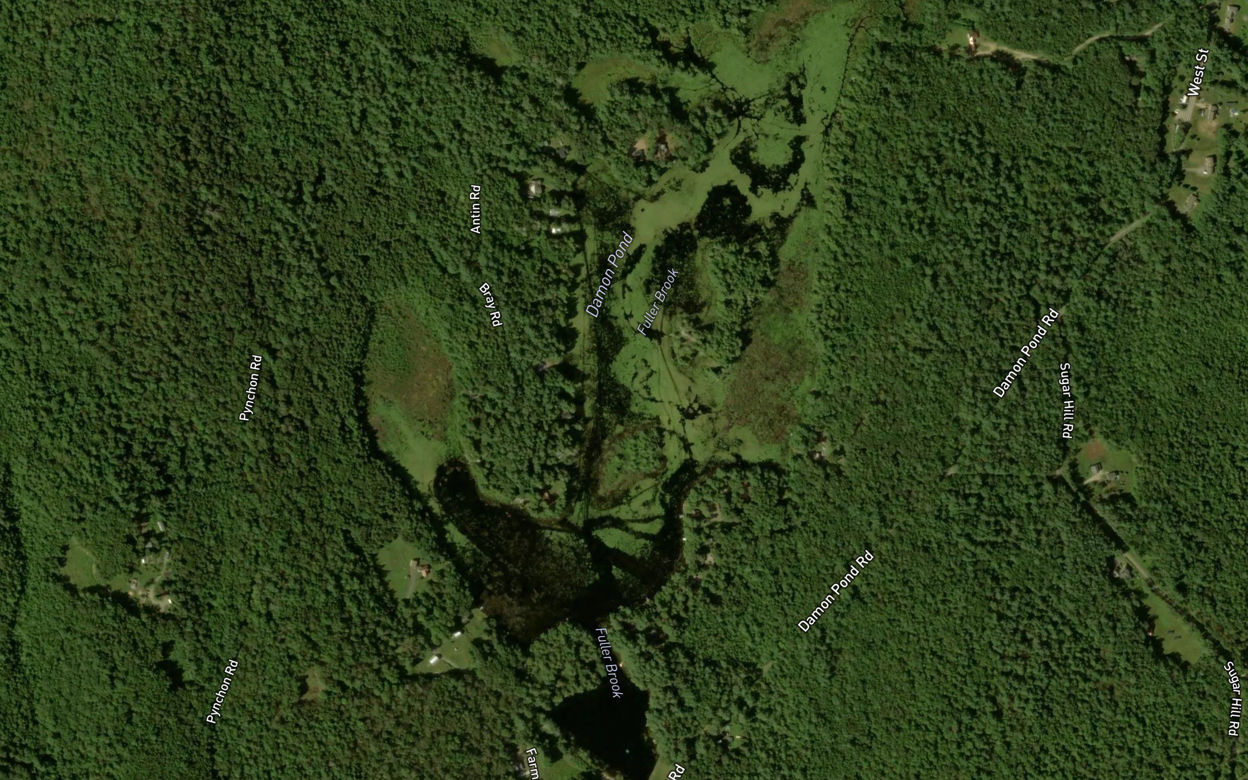 Damon Pond
