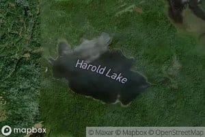Harold Lake