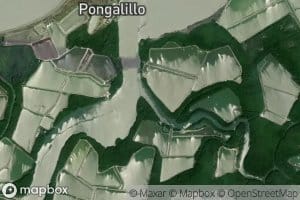 Estero Pongalillo