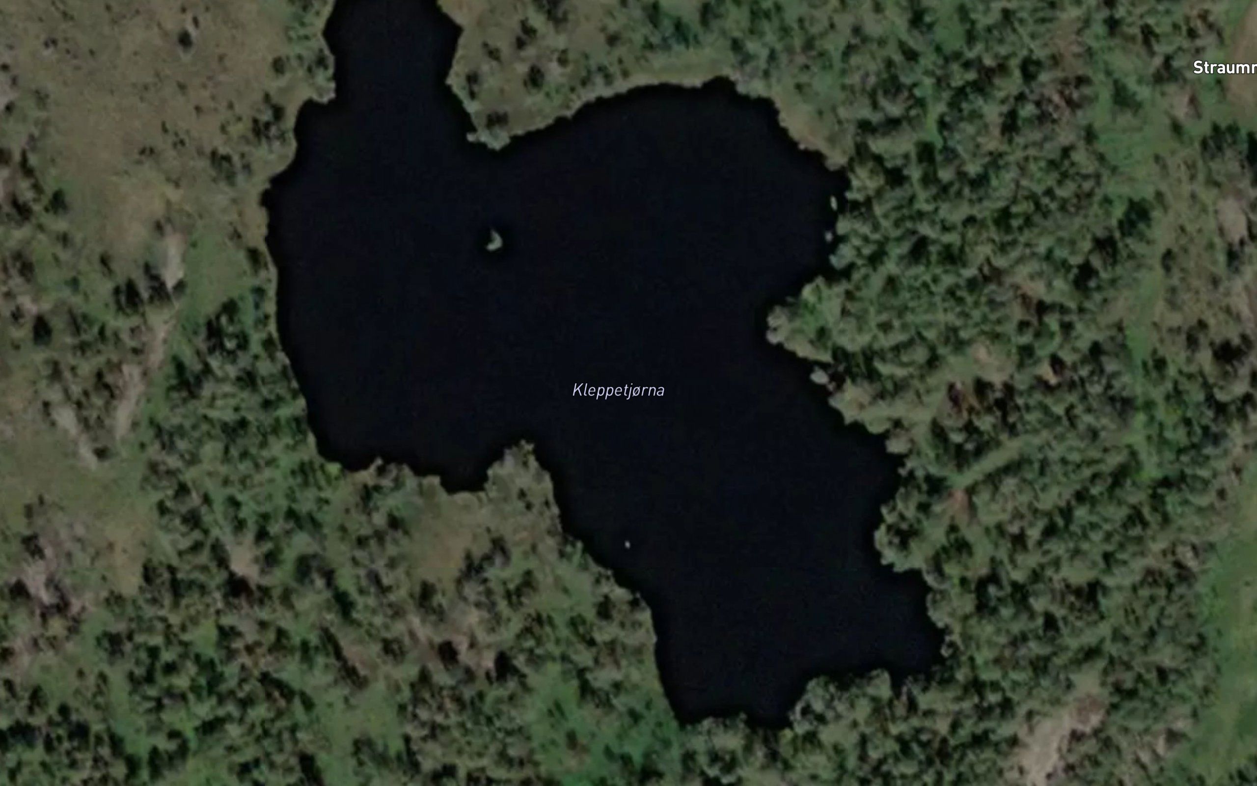 Klepptjonn