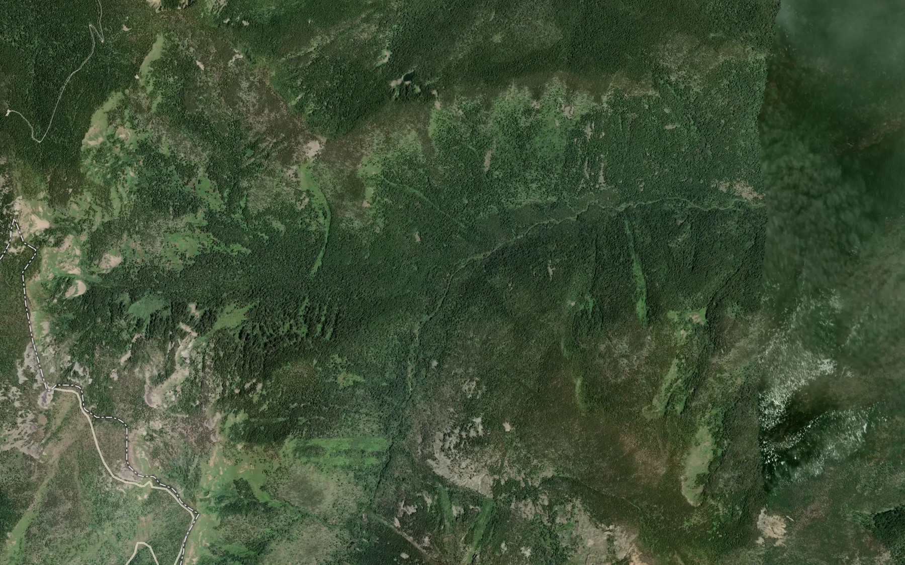Satellite map of the Irish Creek
