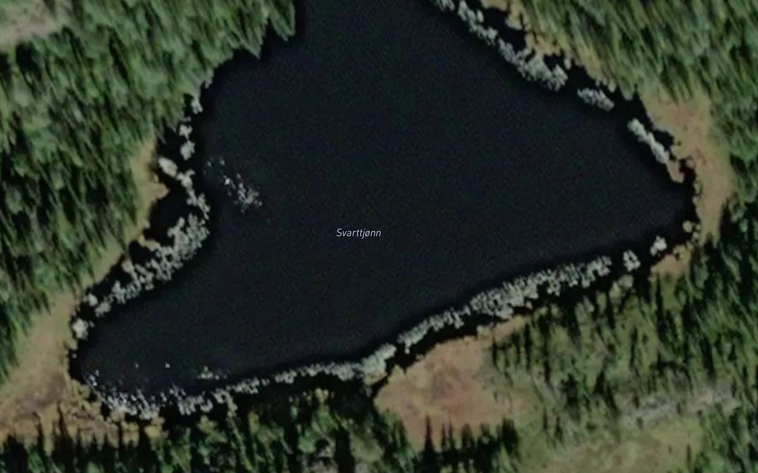 Svartetjorn