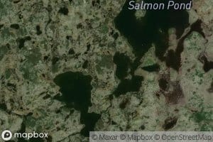 Salmon Pond