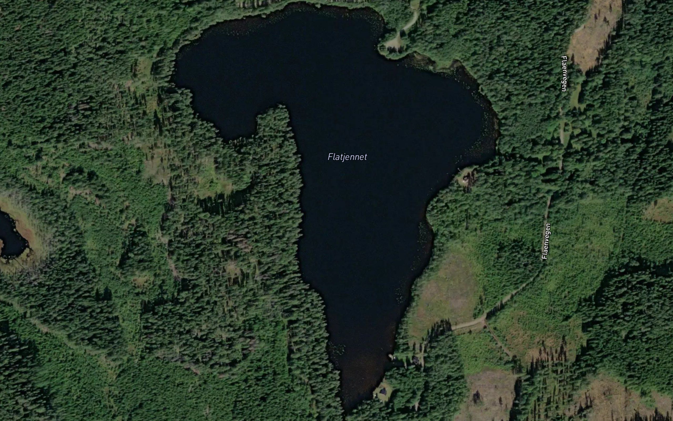 Flatjernet