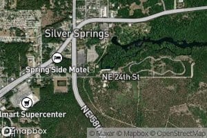 Silver Springs