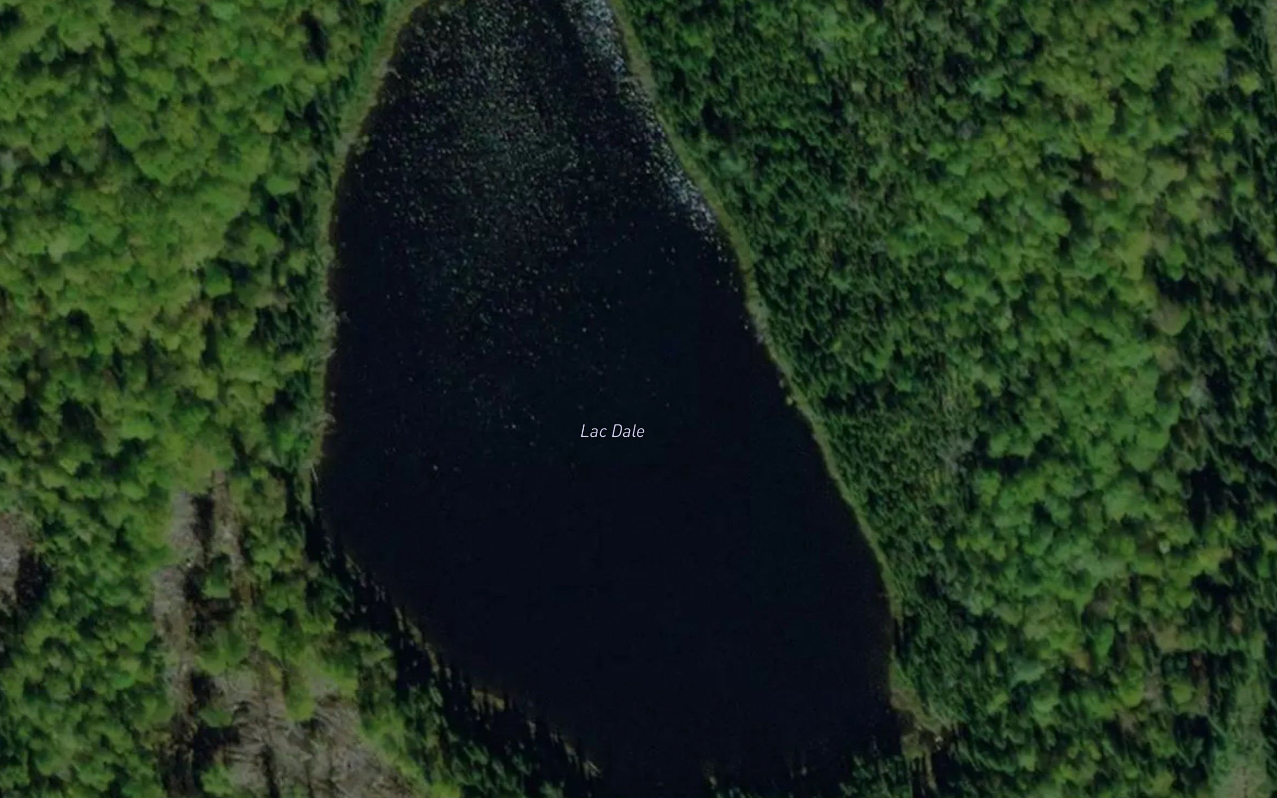 Lac Dale